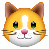 🐱