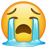 😭