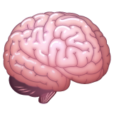 🧠
